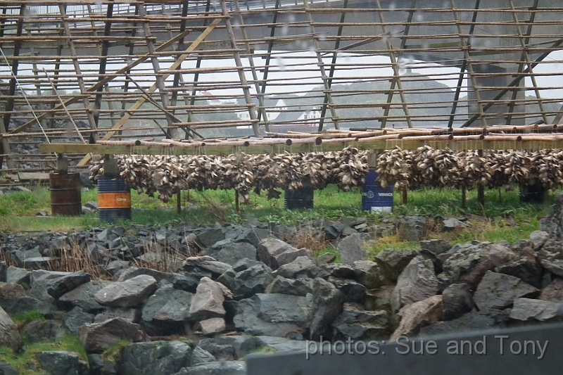 day9 0151.jpg - more fish drying racks